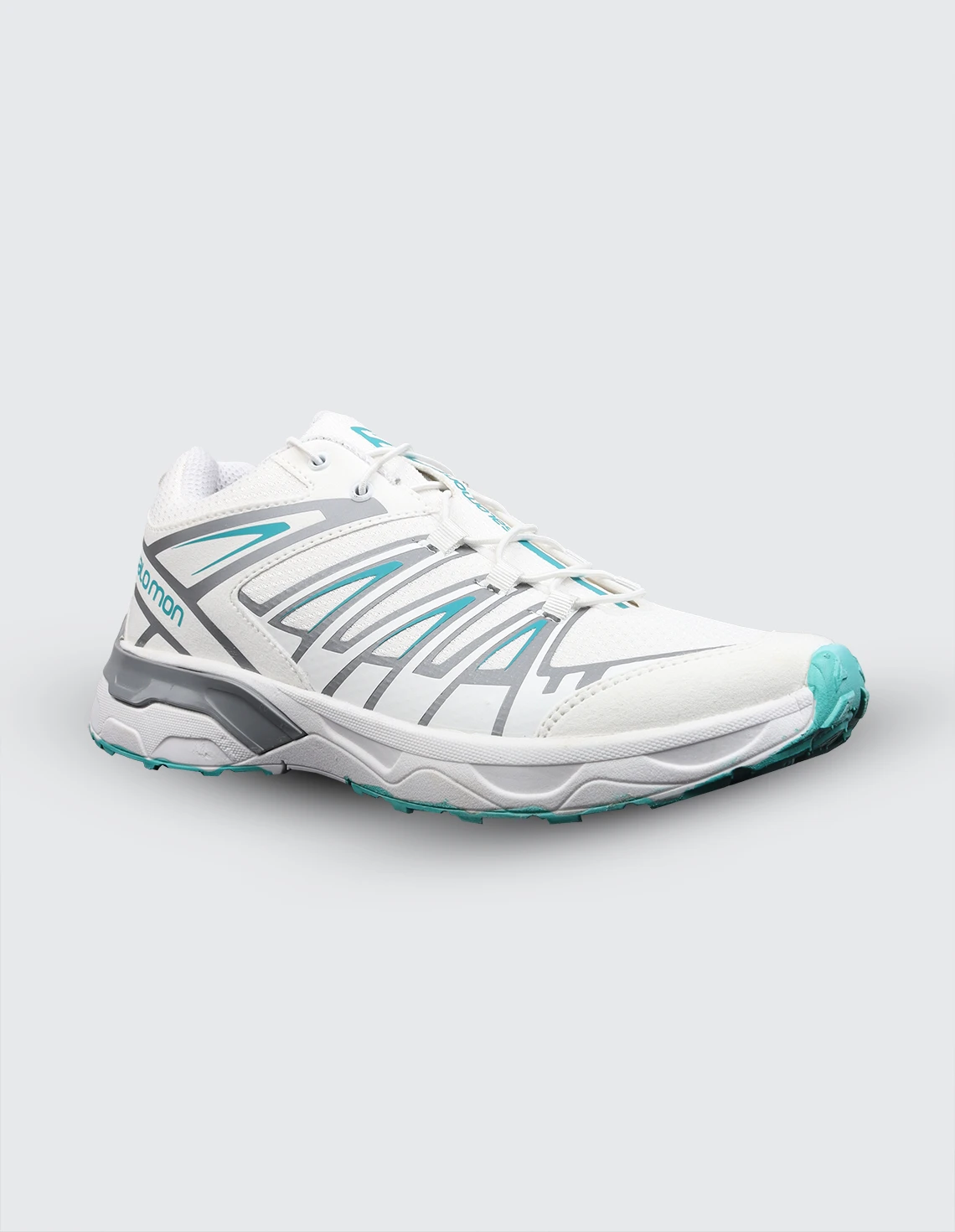 کفش ورزشی مردانه سالامون X Ultra 3 GTX M